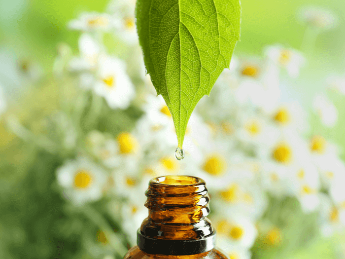 Key Factors to Consider Before Buying Essential Oils